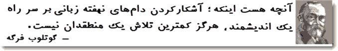  فرگه و مغالطه