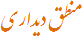 منطق دیداری
